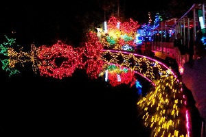 Bright Nights in Stanley Park